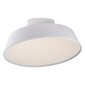 Nordlux laelamp Kaito Dim 2220506001 цена и информация | Laelambid | kaup24.ee