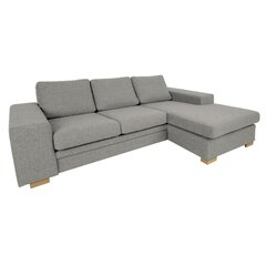 Corner sofa DAGMAR beige цена и информация | Угловые диваны | kaup24.ee