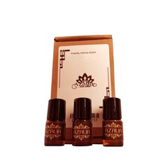 Õli parfüümi komplekt Mini Aromas meestele nr.1, 6x2ml hind ja info | Meeste parfüümid | kaup24.ee