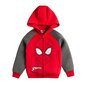 Poiste pluus Cool Club Spider-Man, LCB1810001 hind ja info | Poiste kampsunid, vestid ja jakid | kaup24.ee