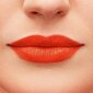 Huulepulk Bourjois Rouge Fabuleux, 10 Scarlet it Be, 2.4g цена и информация | Huulepulgad, -läiked, -palsamid, vaseliin | kaup24.ee