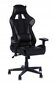 Diavolo Ii Gray Office Gaming Chair, 72x56x128/138cm цена и информация | Kontoritoolid | kaup24.ee