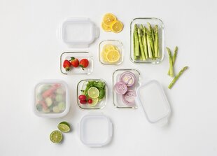 LocknLock посуда для запекания / коробка для хранения, 540 мл цена и информация | Посуда для хранения еды | kaup24.ee