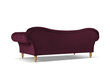 Sofa Windsor & Co Juno, 236x96x86 cm, punane/kuldne цена и информация | Diivanid ja diivanvoodid | kaup24.ee