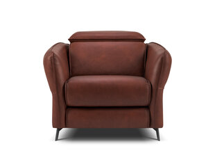 Кожаное кресло Windsor & Co Hubble, 100x96x76 см, коричневое цена и информация | Кресла в гостиную | kaup24.ee