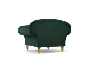 Кресло Windsor & Co Juno, 132x96x91 см, зеленый/золотой цвет цена и информация | Кресла в гостиную | kaup24.ee