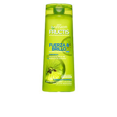 Tugevdav šampoon fructis shine force 2 ir 1 garnier, 360 ml hind ja info | Šampoonid | kaup24.ee