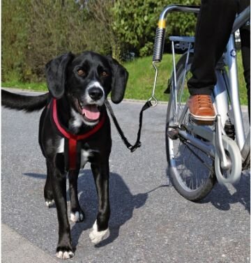 Jalgratta külge kinnitatav jalutusrihm koerale Trixie de luxe hind ja info | Reisimise tarvikud | kaup24.ee