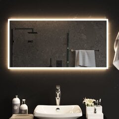 vidaXL LED vannitoapeegel, 100 x 50 cm цена и информация | Подвесные зеркала | kaup24.ee