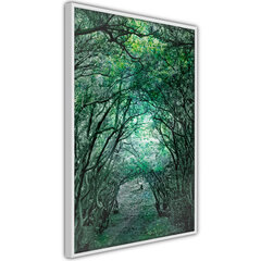 Плакат Tree Tunnel цена и информация | Картины, живопись | kaup24.ee
