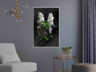 Seinapilt White Lilac hind ja info | Seinapildid | kaup24.ee