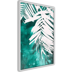 Seinapilt White Palm on Teal Background hind ja info | Seinapildid | kaup24.ee