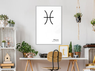 Seinapilt Zodiac: Pisces hind ja info | Seinapildid | kaup24.ee