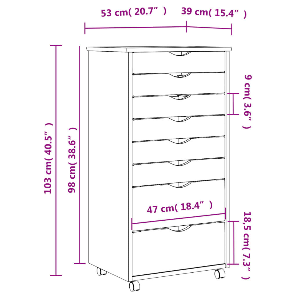 Kapp vidaXL Moss, hall hind ja info | Elutoa väikesed kapid | kaup24.ee