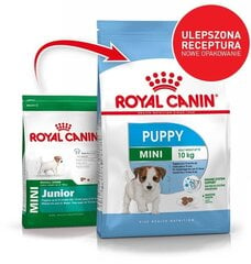 Royal Canin väikeste kutsikate jaoks Mini junior, 4 kg hind ja info | Kuivtoit koertele | kaup24.ee