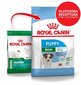Royal Canin väikeste kutsikate jaoks Mini junior, 4 kg hind ja info | Kuivtoit koertele | kaup24.ee