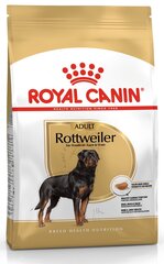 Корм Royal Canin для ротвейлеров Rottweiler, 12 кг цена и информация |  Сухой корм для собак | kaup24.ee