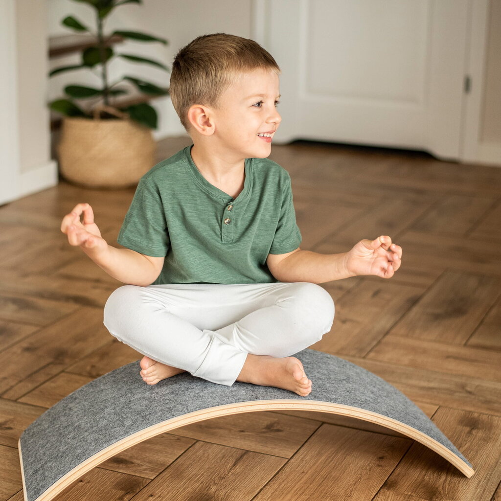 Montessori tasakaalulaud villaga MeowBaby, 80x30 cm, hall hind ja info | Arendavad mänguasjad | kaup24.ee