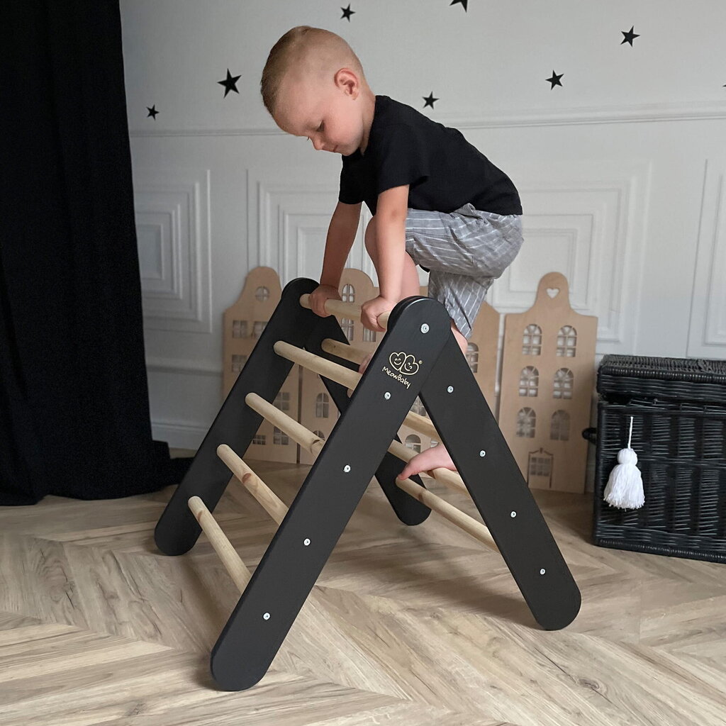 Maja lastele MeowBaby 60x61 cm kokkupandava redeliga, roosa hind ja info | Imikute mänguasjad | kaup24.ee