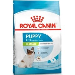 Royal Canin X-Small väikest tõugu noortele kutsikatele, 3 kg hind ja info | Kuivtoit koertele | kaup24.ee