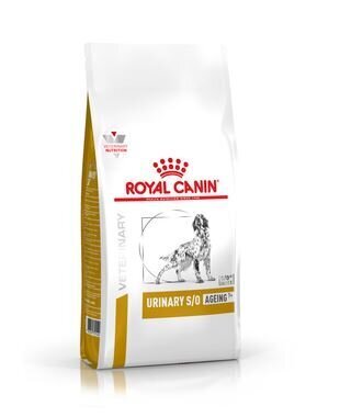 Royal Canin Dog Urinary S/O +7 kuseteede häiretega koertele, 3,5 kg hind ja info | Kuivtoit koertele | kaup24.ee