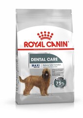 Royal Canin Maxi Dental Care täiskasvanud suurt tõugu koertele, 9 kg цена и информация | Сухой корм для собак | kaup24.ee