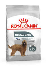 Royal Canin Maxi Dental Care для взрослых собак крупных пород, 3 кг цена и информация |  Сухой корм для собак | kaup24.ee