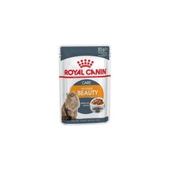 Royal Canin Intense Beauty для взрослых кошек, 12х85 г цена и информация | Кошачьи консервы | kaup24.ee