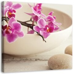 Принт холста, розовые орхидеи в миске 39,99 цена и информация | Картины, живопись | kaup24.ee