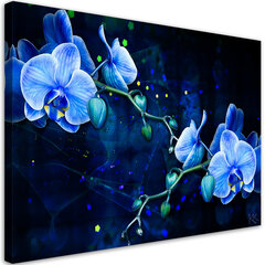 Seinapilt Sinine orhidee hind ja info | Seinapildid | kaup24.ee