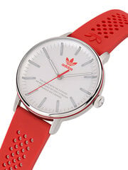 Часы Adidas AOSY23024 цена и информация | Мужские часы | kaup24.ee