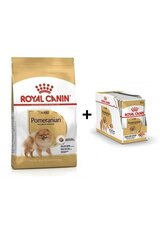 Royal Canin Pomeranian Adult 3 kg + Pomeranian Adult kääbusspitsi tõugu koertele, 12x85g hind ja info | Kuivtoit koertele | kaup24.ee