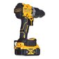 Akutrell DeWalt, DCD805P2T, 18V / 5,0Ah цена и информация | Akutrellid, kruvikeerajad | kaup24.ee