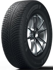 Michelin Pilot Alpin 5 SUV 305/40R21 113 V XL FSL N0 цена и информация | Зимние шины | kaup24.ee