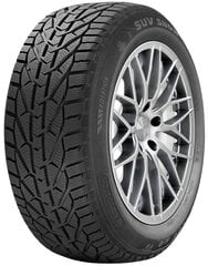 Kormoran Snow 195/60R15 88 T цена и информация | Зимняя резина | kaup24.ee