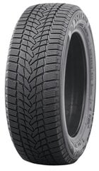 Nankang Ice Activa 2 225/55R18 102 T XL цена и информация | Зимняя резина | kaup24.ee