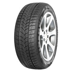 Minerva Frostrack UHP 245/40R18 97 V XL цена и информация | Зимняя резина | kaup24.ee