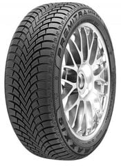 Maxxis Premitra Snow WP6 255/50R19 107 V XL hind ja info | Talverehvid | kaup24.ee