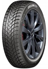 Delinte WD1 205/60R16 96 H цена и информация | Зимняя резина | kaup24.ee