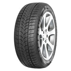 Minerva Frostrack UHP 225/55R17 101 V XL hind ja info | Talverehvid | kaup24.ee