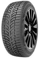 DoubleStar DW08 225/55R16 95 H hind ja info | Talverehvid | kaup24.ee