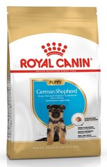 Kuivtoit Royal Canin Saksa lambakoera kutsikatele German Shepherd junior, 12 kg hind ja info | Kuivtoit koertele | kaup24.ee