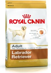 Kuivtoit Royal Canin Labrador retriiveritele Labrador Retriever Adult, 3 kg цена и информация | Сухой корм для собак | kaup24.ee