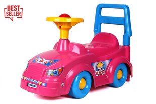 Mänguauto, roosa hind ja info | Imikute mänguasjad | kaup24.ee
