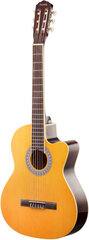 Klassikaline kitarr Axesmith Classic Cutaway 39" Classic Acoustic Guitar hind ja info | Kitarrid | kaup24.ee