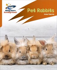 Reading Planet: Rocket Phonics - Target Practice - Pet Rabbits - Orange цена и информация | Книги для подростков и молодежи | kaup24.ee