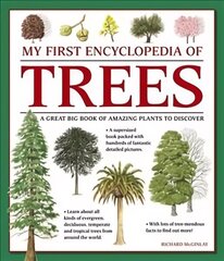 My First Encyclopedia of Trees (giant Size): A Great Big Book of Amazing Plants to Discover цена и информация | Книги для подростков и молодежи | kaup24.ee