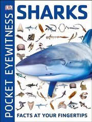 Pocket Eyewitness Sharks: Facts at Your Fingertips цена и информация | Книги для подростков и молодежи | kaup24.ee