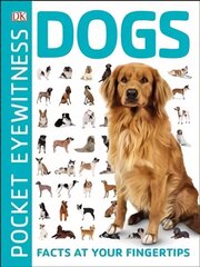 Pocket Eyewitness Dogs: Facts at Your Fingertips hind ja info | Noortekirjandus | kaup24.ee