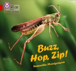 Buzz, Hop, Zip!: Band 02a/Red a цена и информация | Книги для подростков и молодежи | kaup24.ee